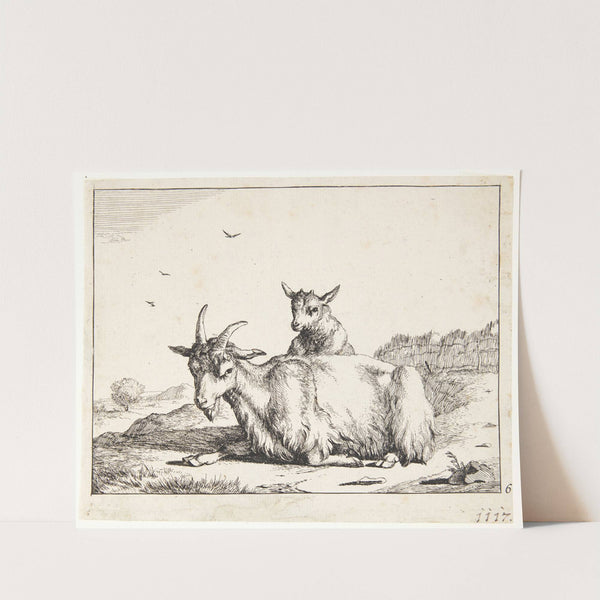 Liggende ged med kid by Marcus de Bye