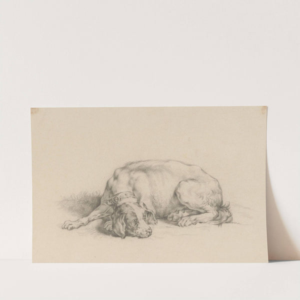 Liggende hond by August Allebé