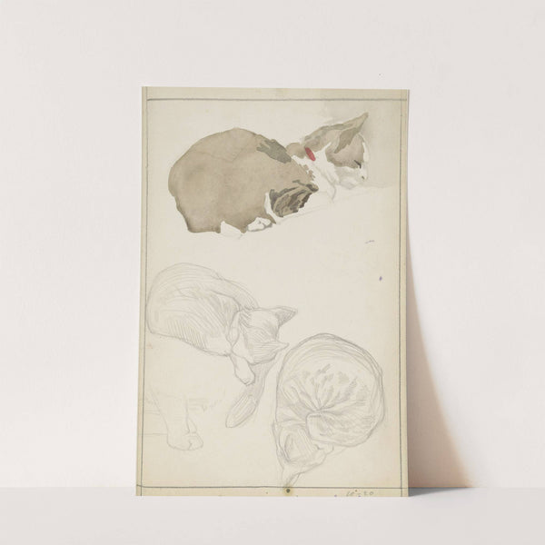 Liggende kat by Jan Veth