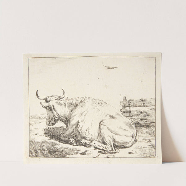 Liggende ko by Marcus de Bye