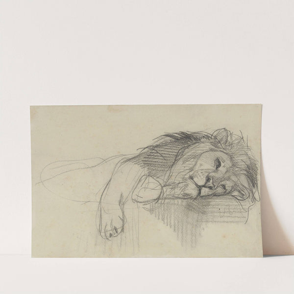 Liggende leeuw by August Allebé