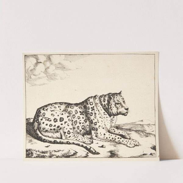 Liggende leopard, vendt mod højre by Marcus de Bye