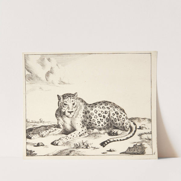 Liggende leopard, vendt mod venstre by Marcus de Bye