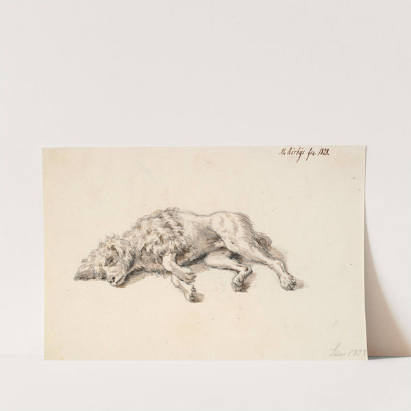 Liggende puddelhund by Martinus Rørbye