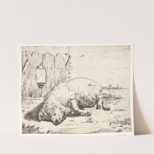 Liggende so by Marcus de Bye