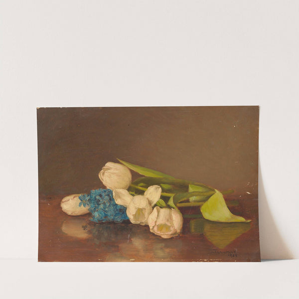 Liggende tulpen (1894) by Jacob Taanman