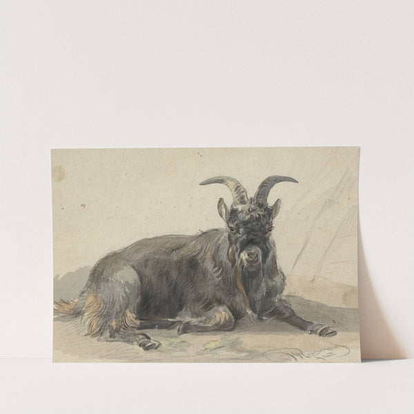 Liggende zwarte geitenbok by Jan van Ravenswaay