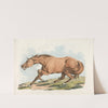 Light-brown horse (1817-1818) by Henry Thomas Alken