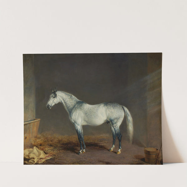 Lightning (A Gray Racehorse) in a Stable (1869) by Edward Troye