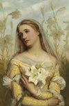 Lilies