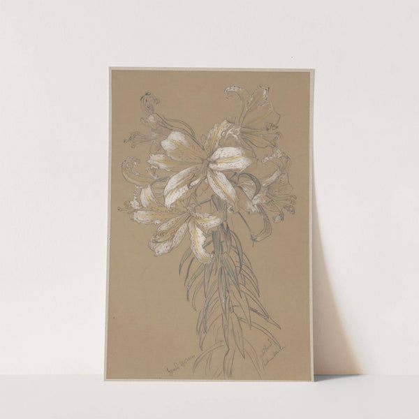 Lilies (1880) by Hans Thoma