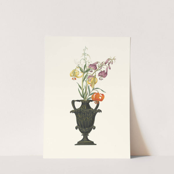 Lilium Pomponium, Lilium Chalcedonicum by Priscilla Susan Bury