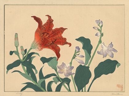 Lily