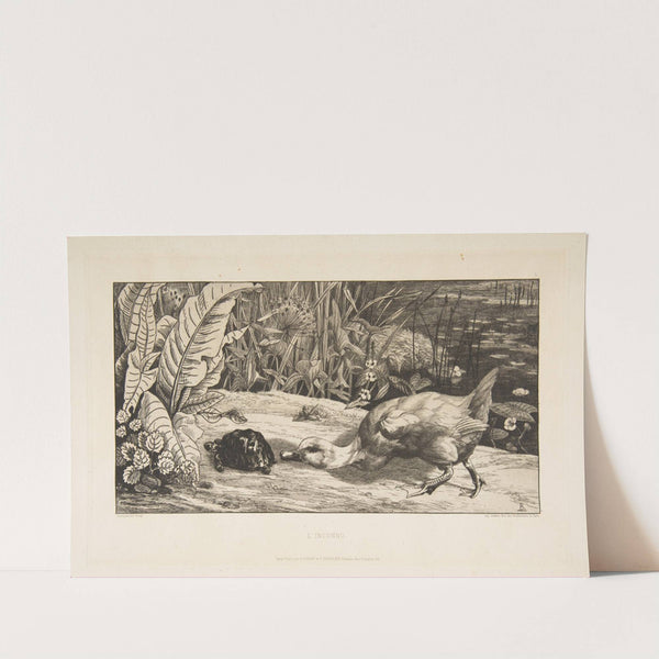 L’Inconnu (1862) by Félix Bracquemond