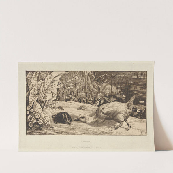 L’Inconnu (The unknown) by Félix Bracquemond