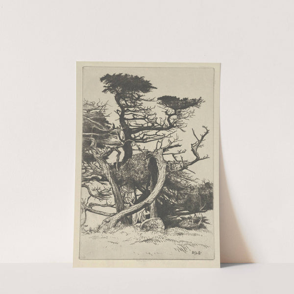 Line of Beauty (1920) by Ernest Haskell