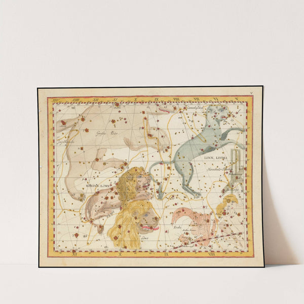 Linx, Luchs & Kleine Löwe (1805) by Johann Elert Bode