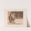 Lion (1894) by Joseph Schippers