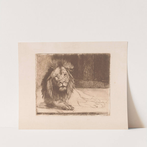 Lion (1894) by Joseph Schippers