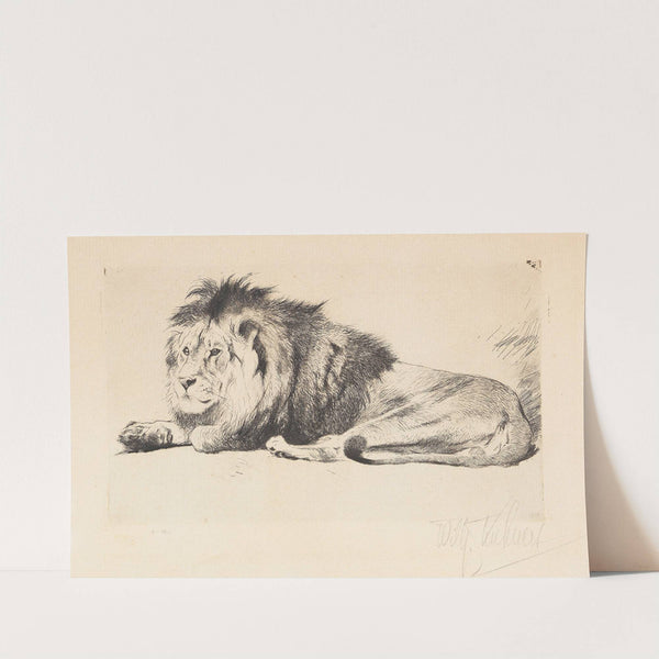 Lion (1915-1921) by Wilhelm Kuhnert