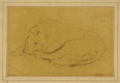 Lion couché la tête entre ses pattes (19th century)