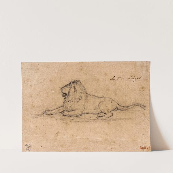 Lion du Sénégal (19th century) by Antoine-Louis Barye