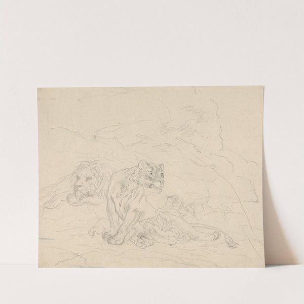 Lion Family by Sawrey Gilpin