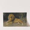 Lion In His Den by Wilhelm Kuhnert