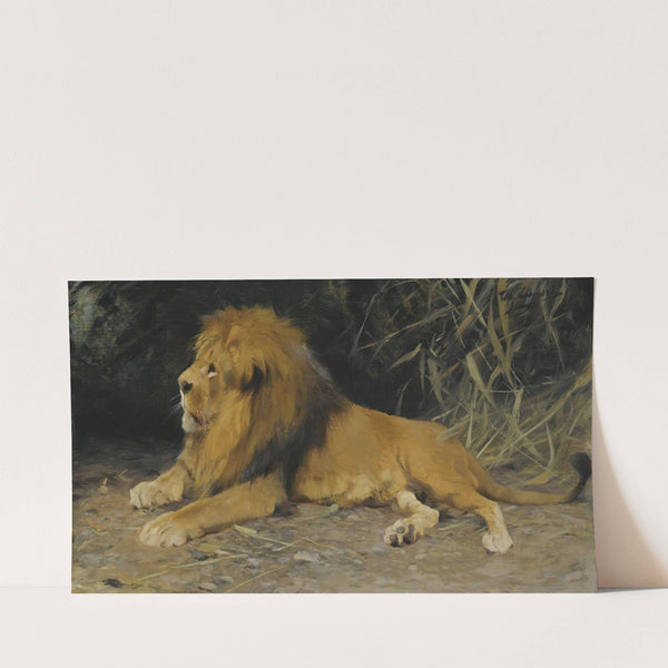 Lion In His Den by Wilhelm Kuhnert