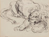 Lion Resting