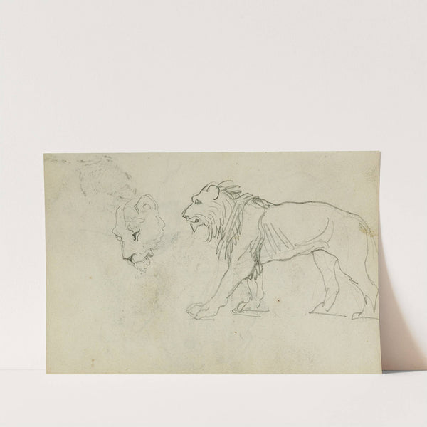 Lion walking, head of a lioness by Théodore Géricault
