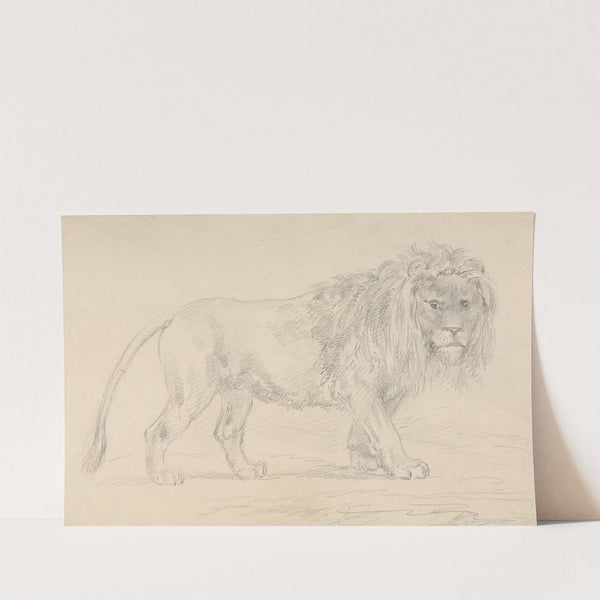 Lion Walking by Sawrey Gilpin