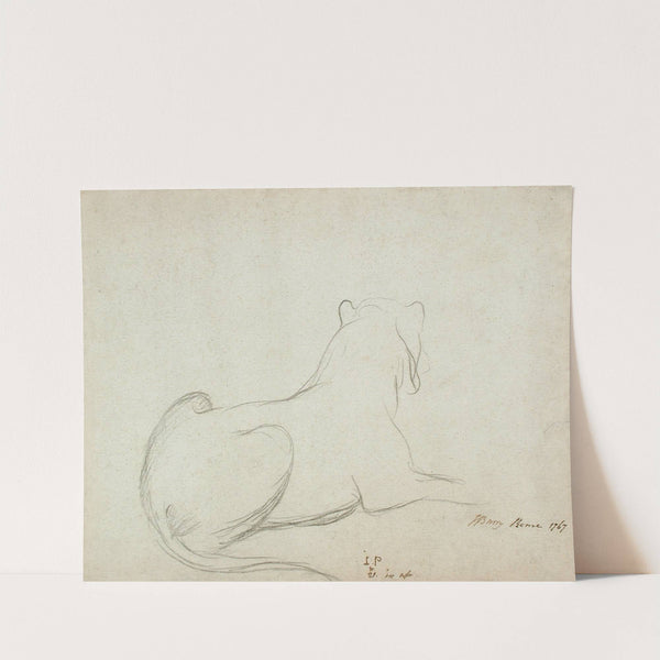 Lioness by James Barry