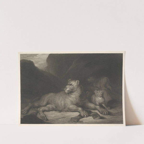 Lioness (1799) by James Northcote