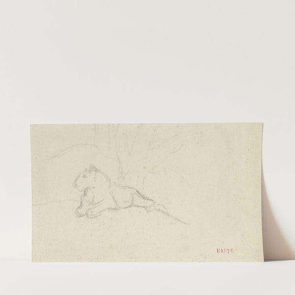 Lioness Lying near a Tree by Antoine-Louis Barye