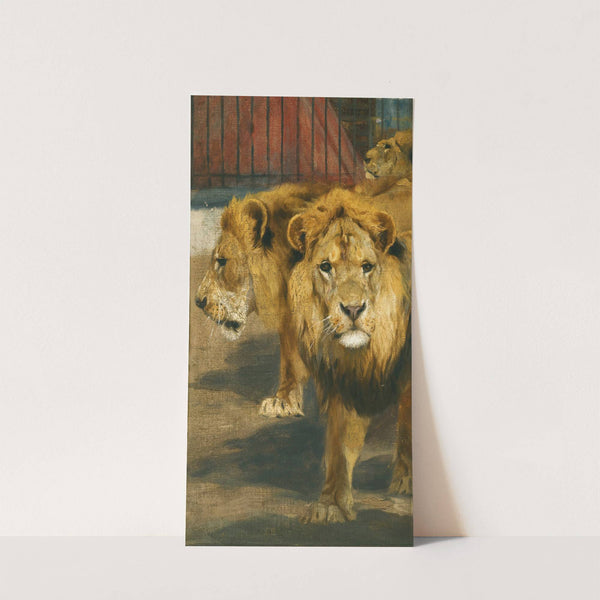 Lions by Wilhelm Kuhnert