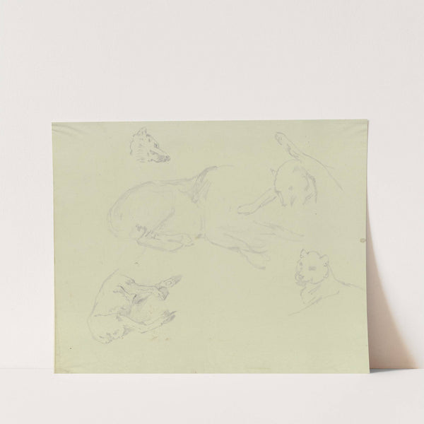 Lions and wolves by Johann Nepomuk Rauch