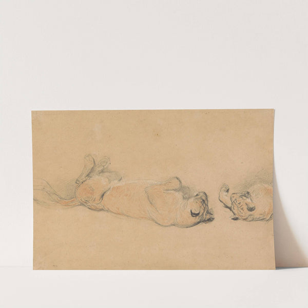 Lions at Play by Sir Edwin Henry Landseer