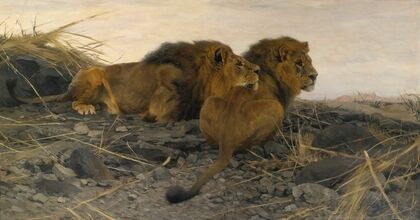 Lions At Watch