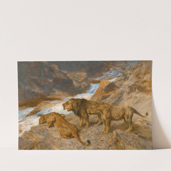 Lions By A Stream by Arthur Wardle