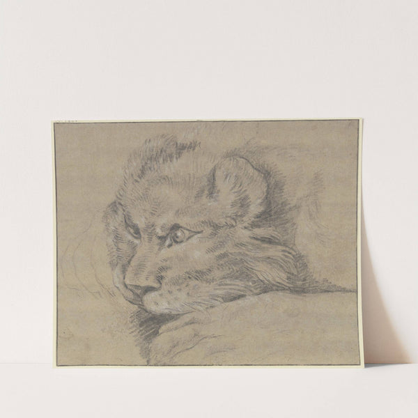 Lion’s head by Johann Elias Ridinger