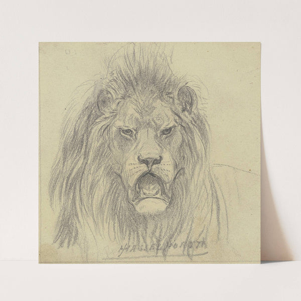 Lion’s head by Johann Heinrich Hasselhorst
