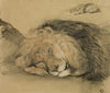 Lion’s Head and Sketch of a Lion