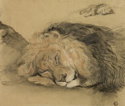 Lion’s Head and Sketch of a Lion