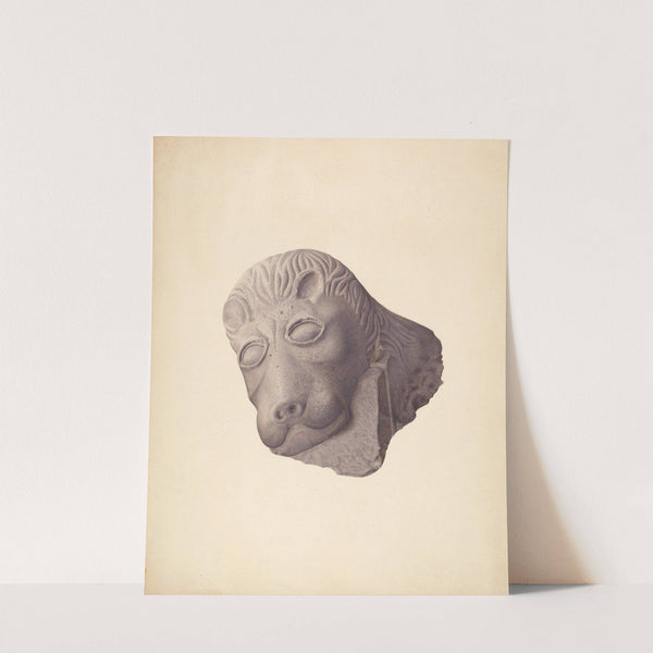 Lion's Head (one of pair) by Edward DiGennero