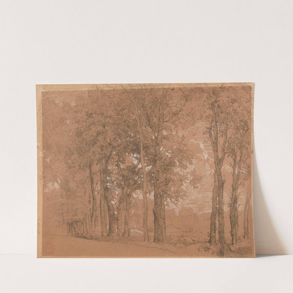 Lisière d'arbres et pré by Jacques-Raymond Brascassat