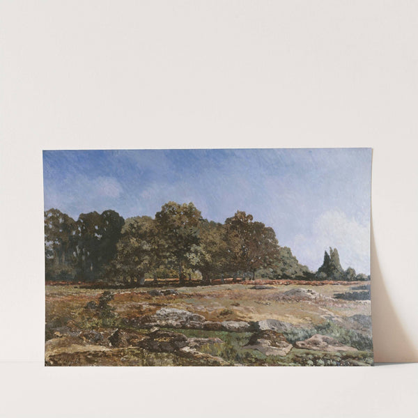 Lisière de la forêt de Fontainebleau (1865) by Alfred Sisley