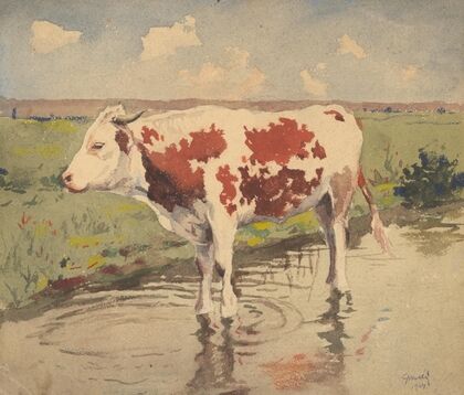 Little Cow