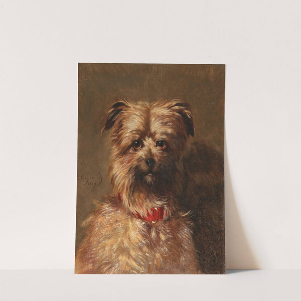 Little Darling with Red Collar by Louis Robert Heyrault