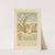 Little Miss Muffet by Francis Donkin Bedford